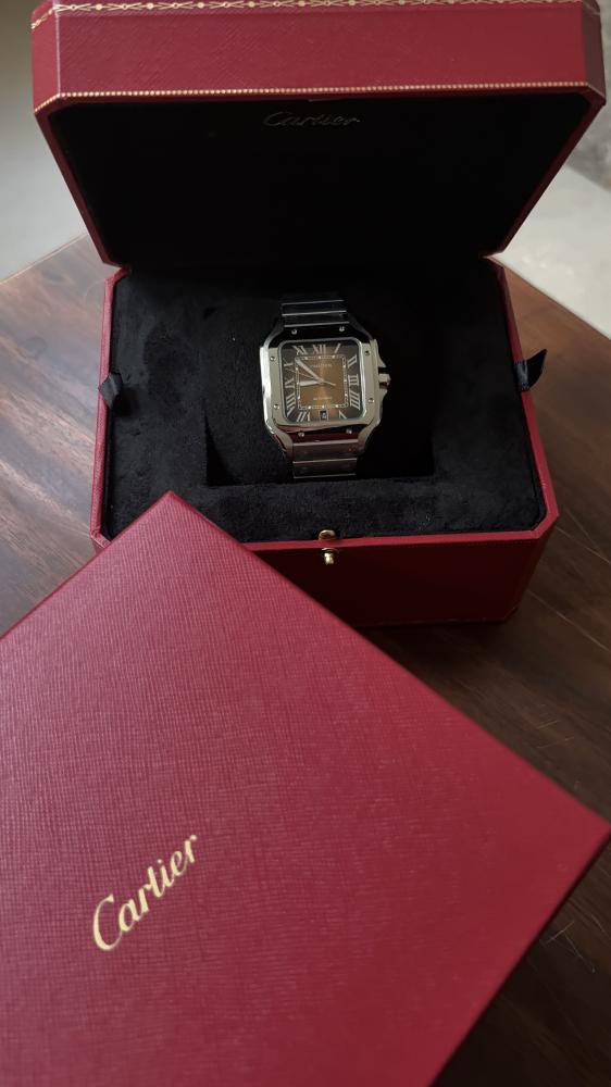 Santos De Cartier - Brown