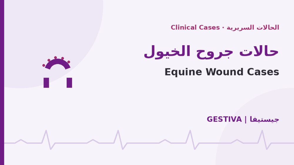 حالات جروح الخيول: نتائج موثّقة بالهايبرمكس