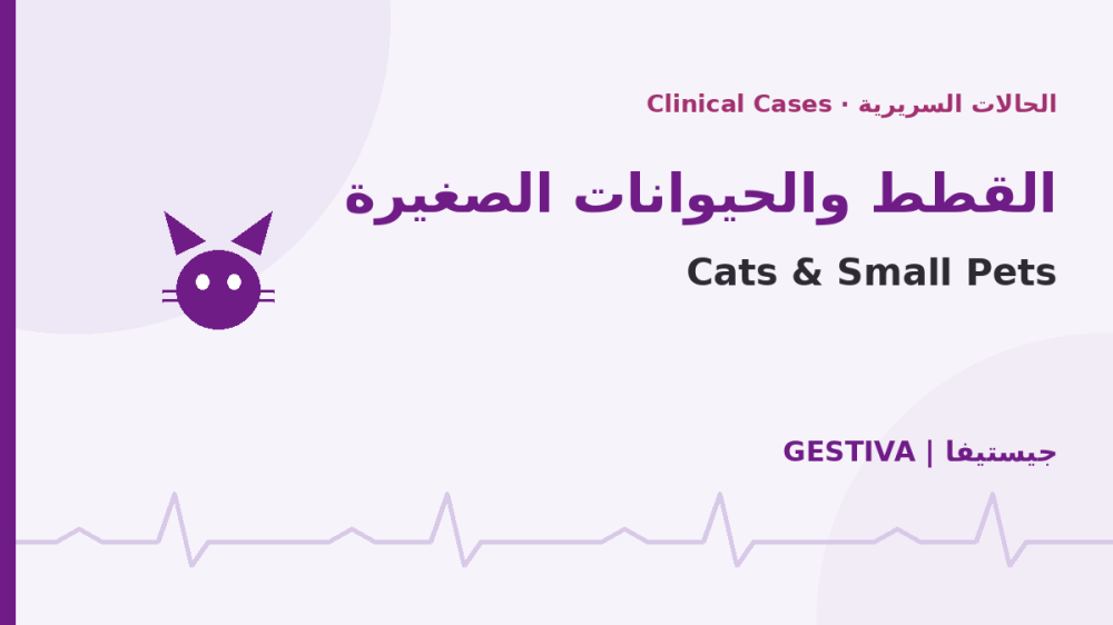 حالات جروح القطط والحيوانات الصغيرة: نتائج موثّقة بالهايبرمكس