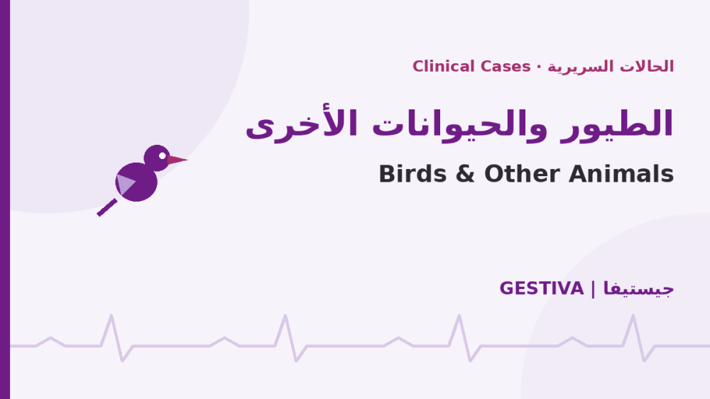 حالات جروح الطيور والحيوانات الأخرى : نتائج موثّقة بالهايبرمكس