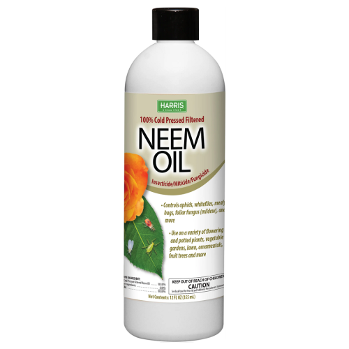 زيت النيم الطبيعي Neem oil