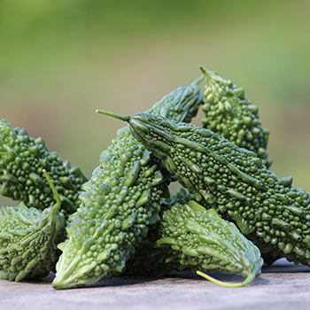 بذور الكيرلا