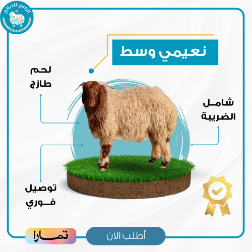 نعيمي جذع 21-23 كيلو