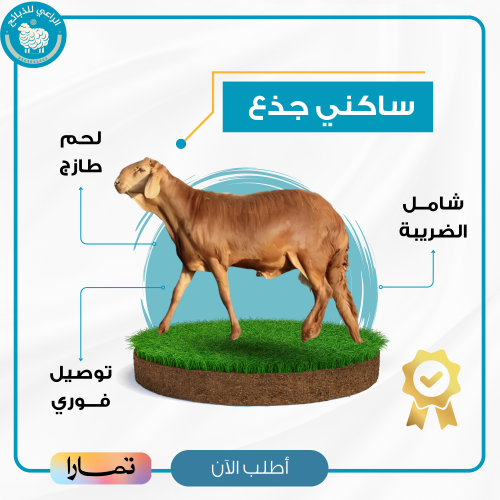 سواكني مرابي عقيقه وزن (25-28)
