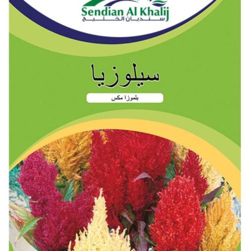 سيلوزيا