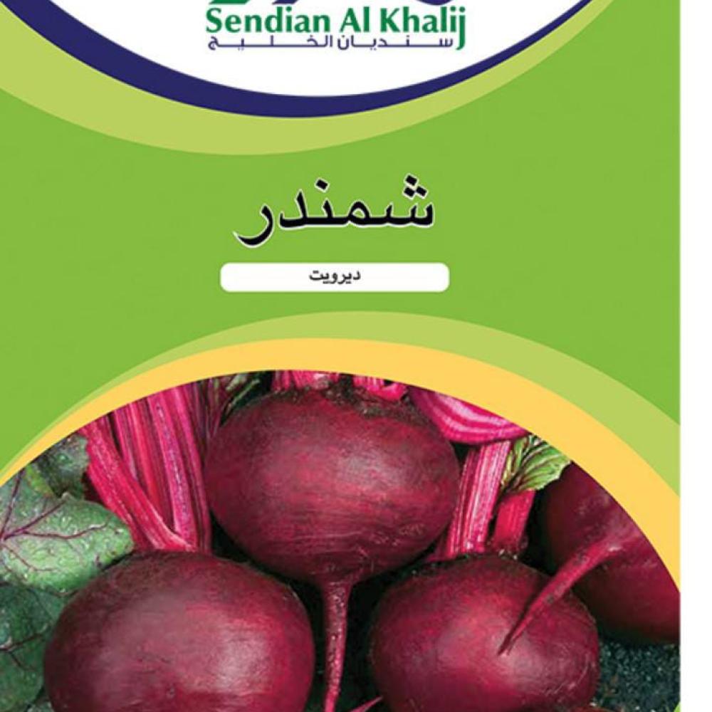 شمندر