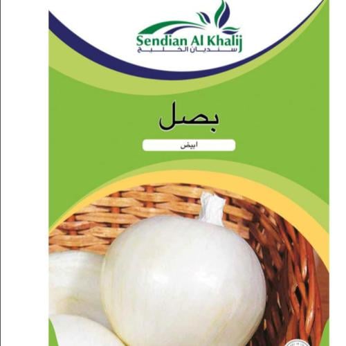 بصل ابيض