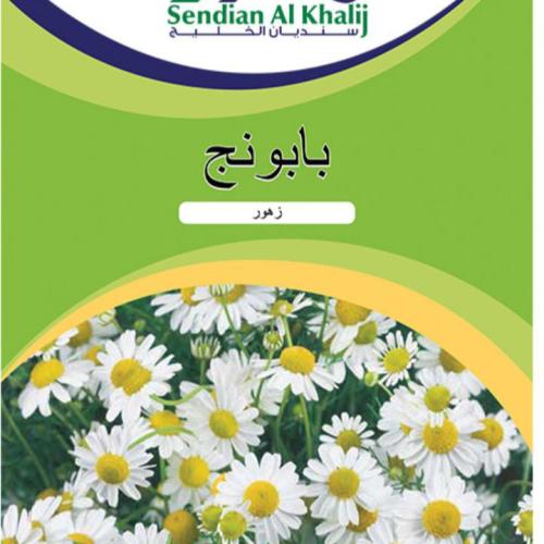 بابونج