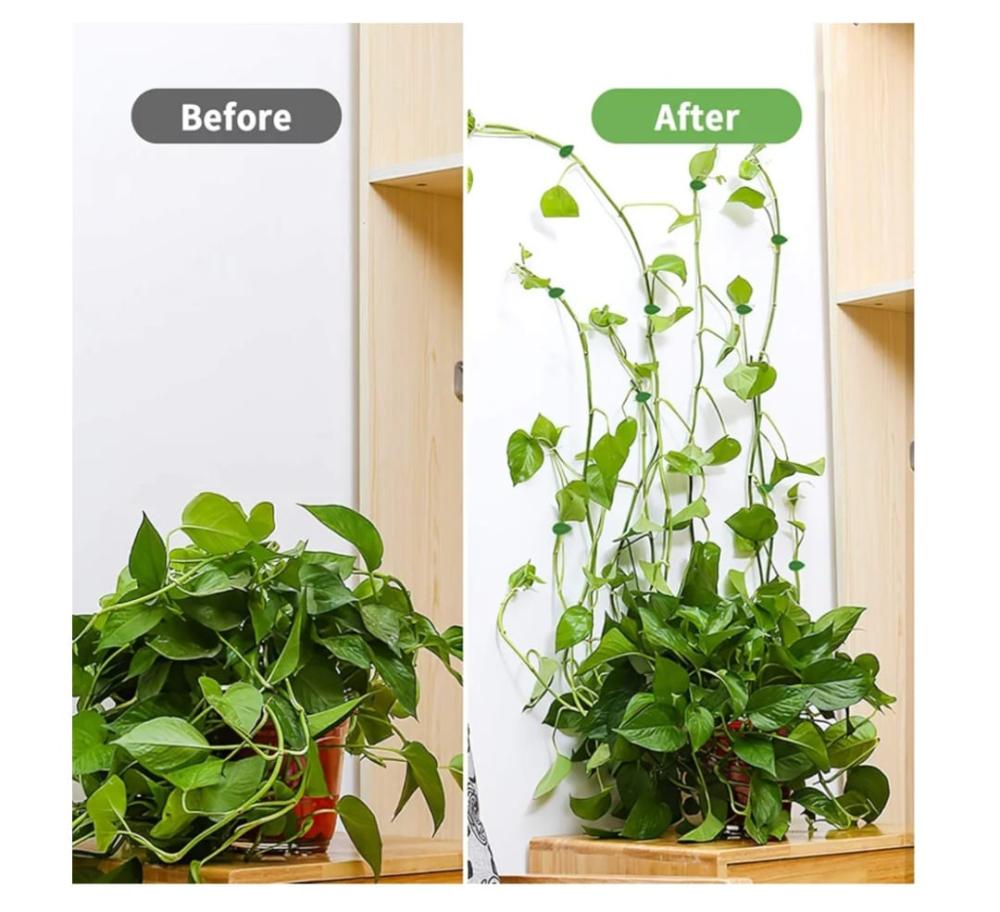 مشابك دبايات على شكل ورقة خضراء  10 حبات