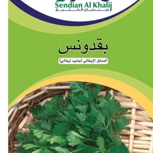 بقدونس