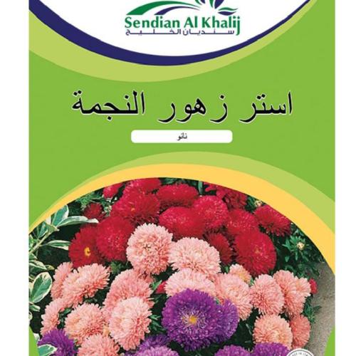 استر زهور النجمه