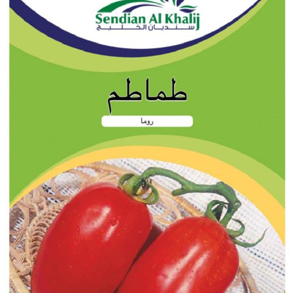 طماطم روما