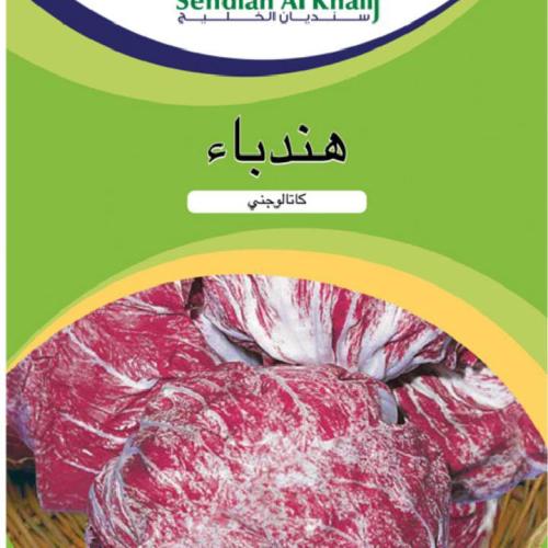 هندباء