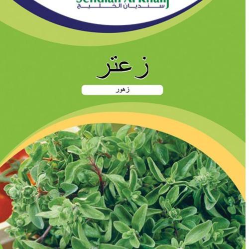 زعتر
