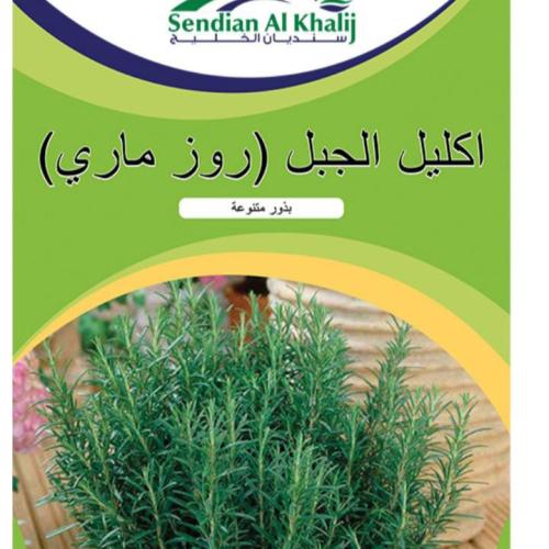 اكليل الجبل (روز ماري)