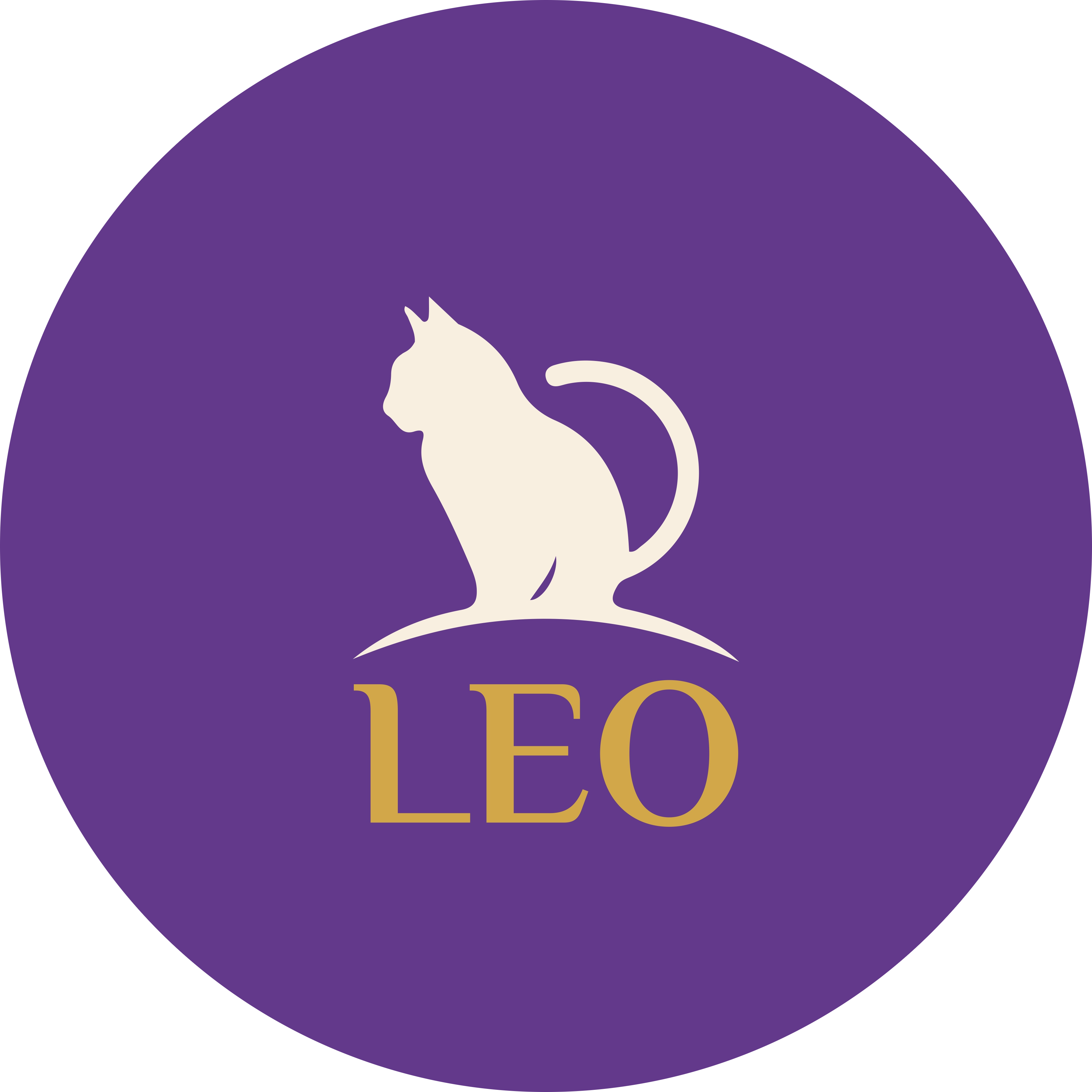 store avatar