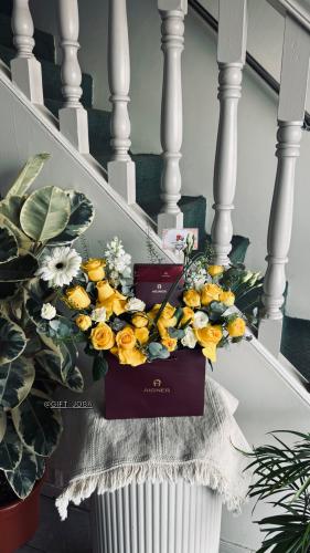 اسوارة اقنر