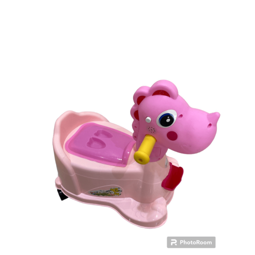Fancy Kids Potty Toilet Training