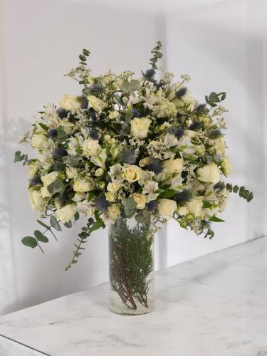White Dream