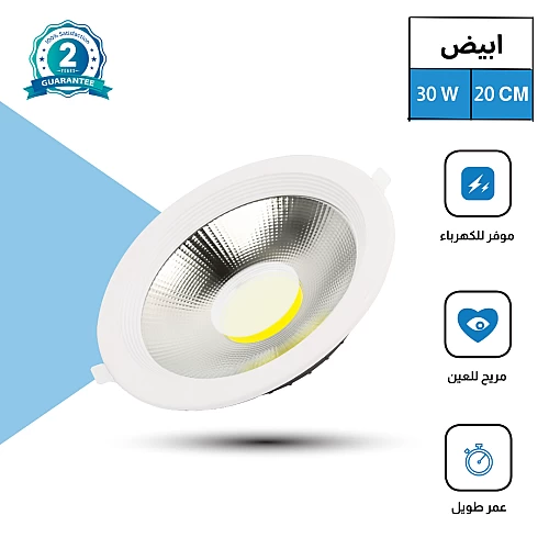 كشاف دفن لون الانارة ابيض 20 سم 30 واط