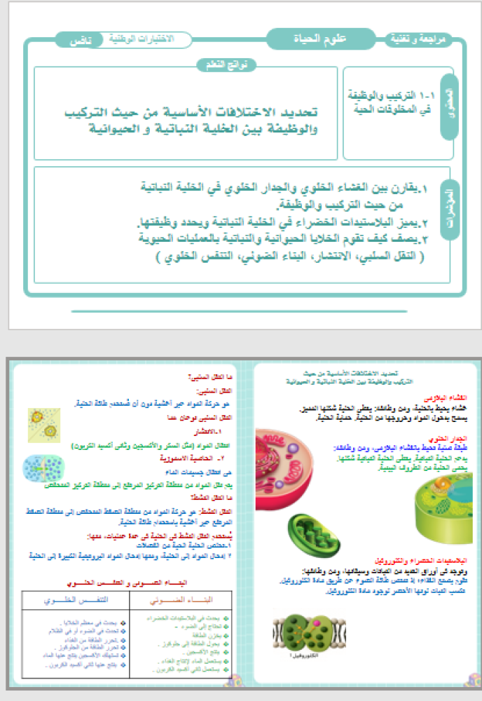 حقيبة الاختبارات الوطنية ( نافس ) الفصل الدراسي الأول 1447 هـ