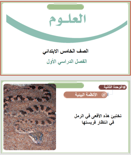 علوم الصف الخامس درس العلاقات في الأنظمة البيئية