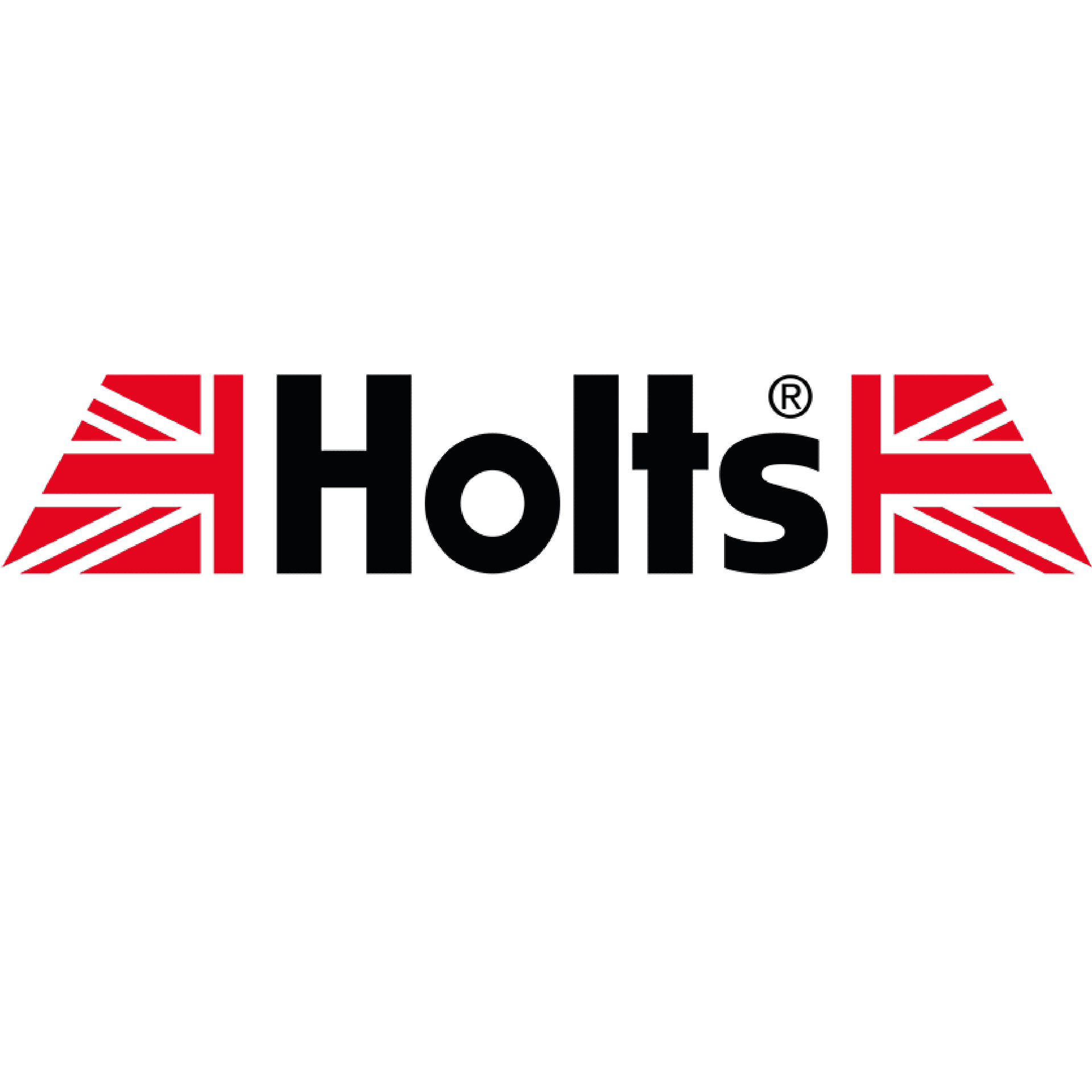 هولتس HOLTS