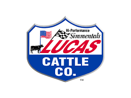 لوكاس lucas لوكاس lucas