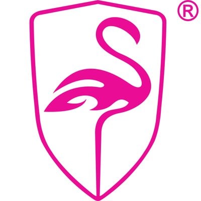 فلامنجو flamingo فلامنجو flamingo
