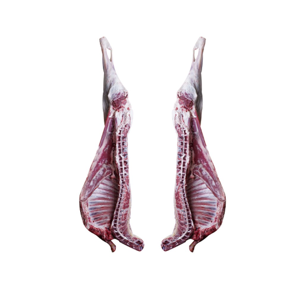 نصفين