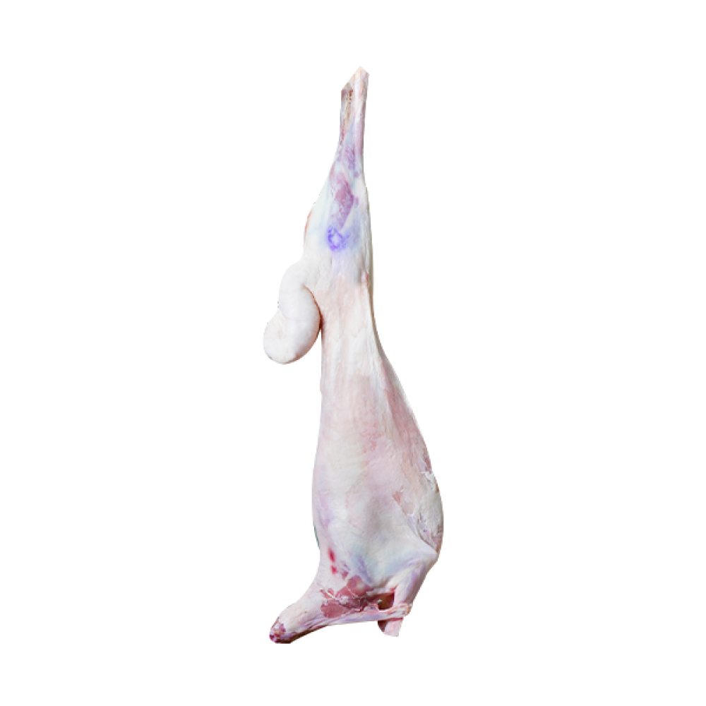 كامل