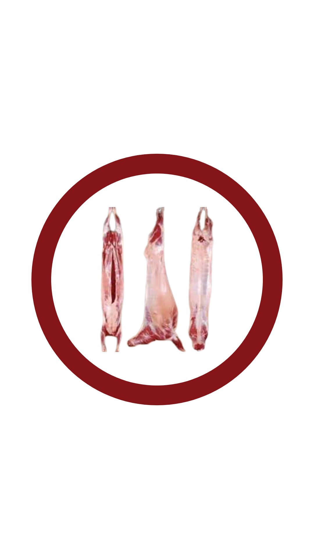 مبرد