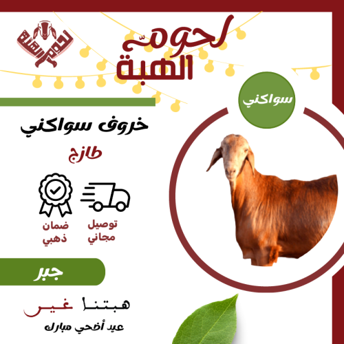 اضحية سواكني فاخر جبر تربية أكبر من 30 كيلو