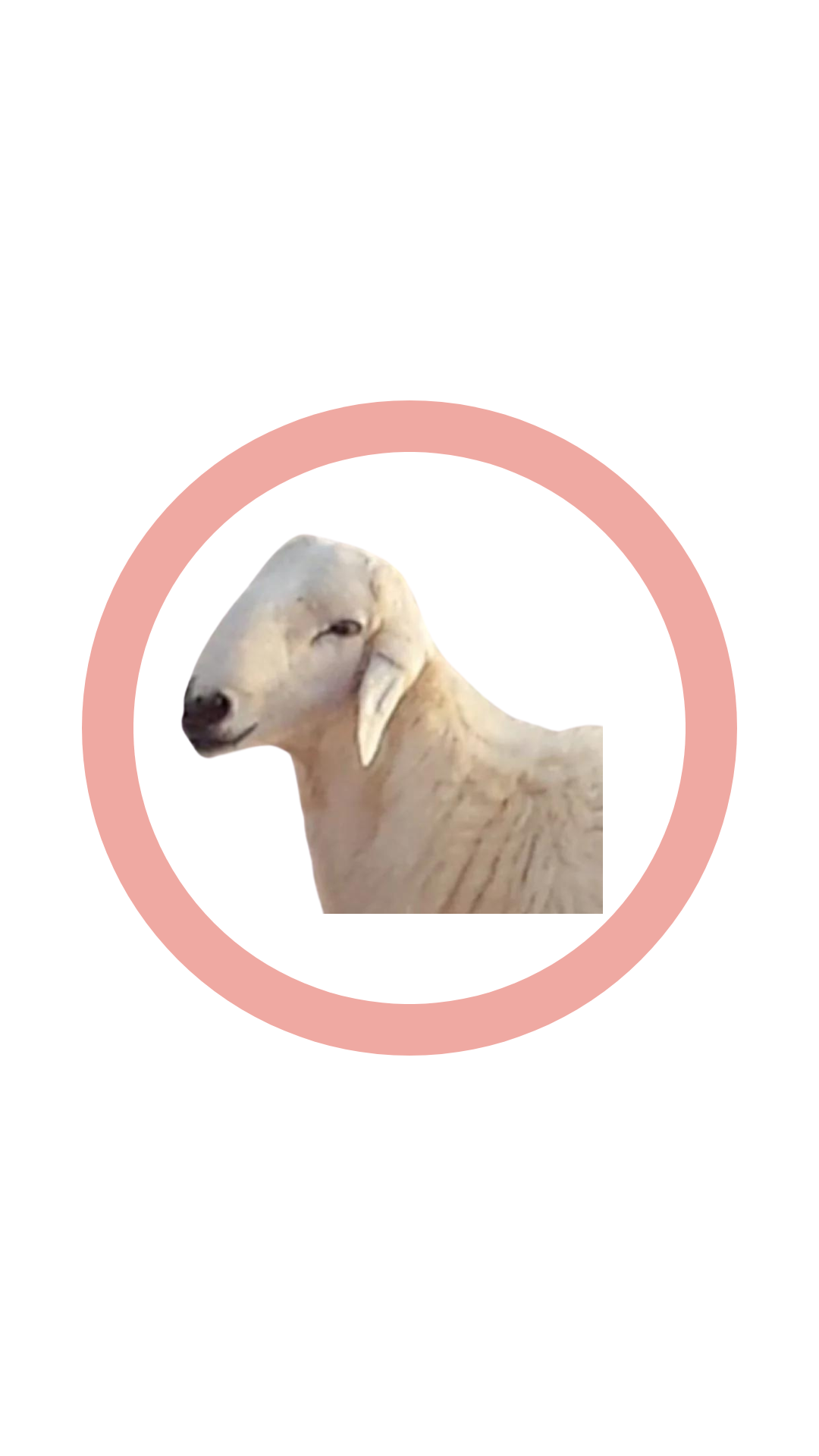 طازج