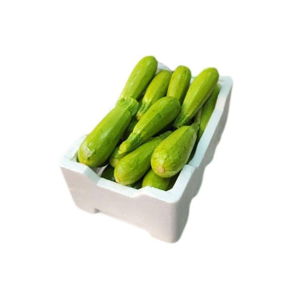 فلين  كوسه وسط