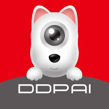 DDPAI