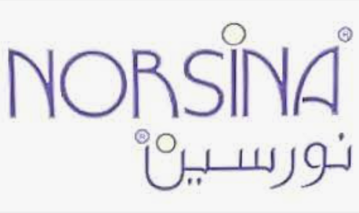 Norsina