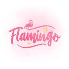 فلامنجو  | flamingo