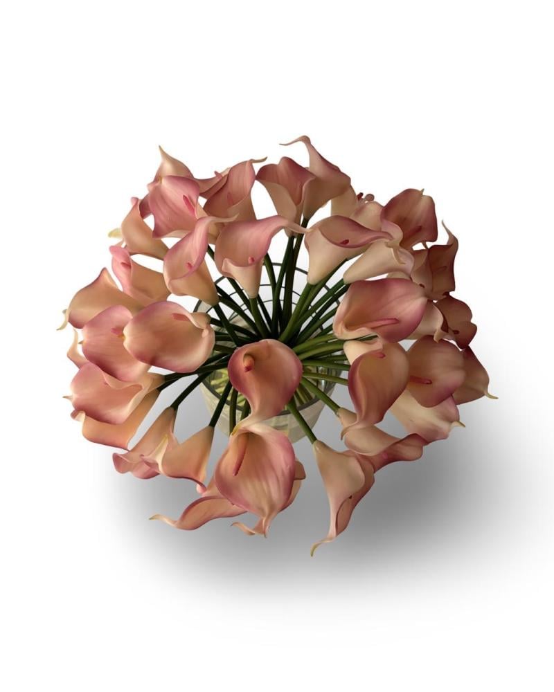 Soft Peach Calla