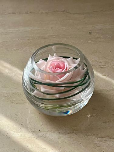 Mini unique rosr “ beby bink