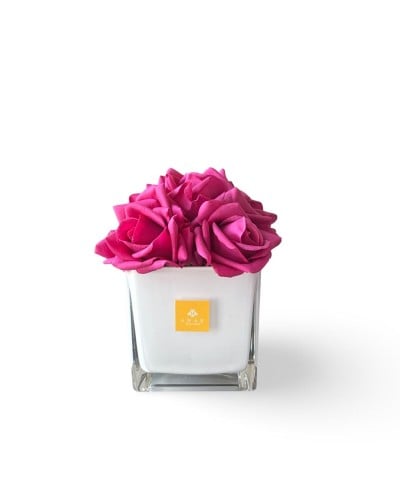 Fuchsia rose - روز فوشي