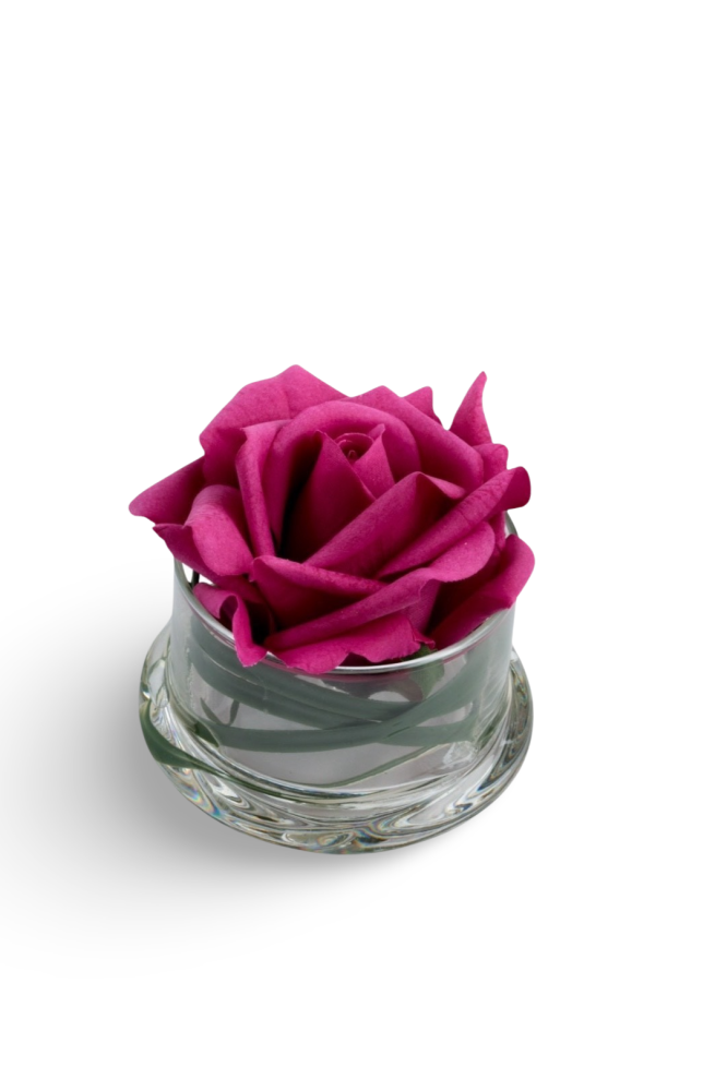 Mini anar Fuchsia rose