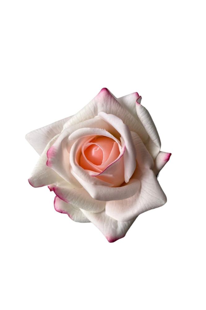 Mini anar white and pink rose