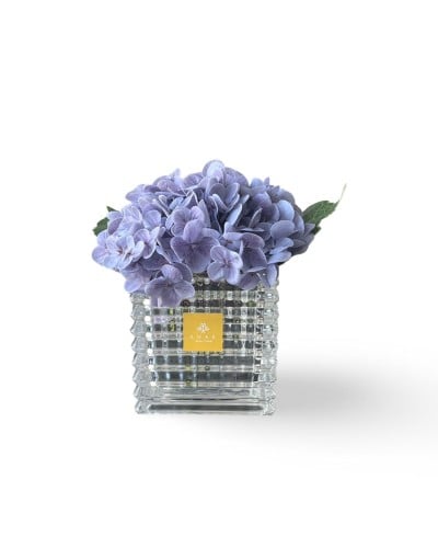 هدرانج بنفسجي - purple hydrangea