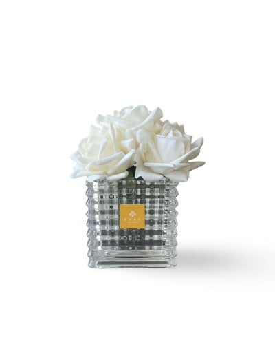 روز أبيض -White rose