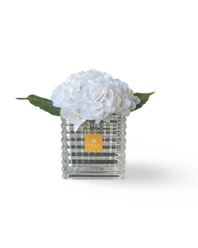 هدرانج أبيض - White hydrangea