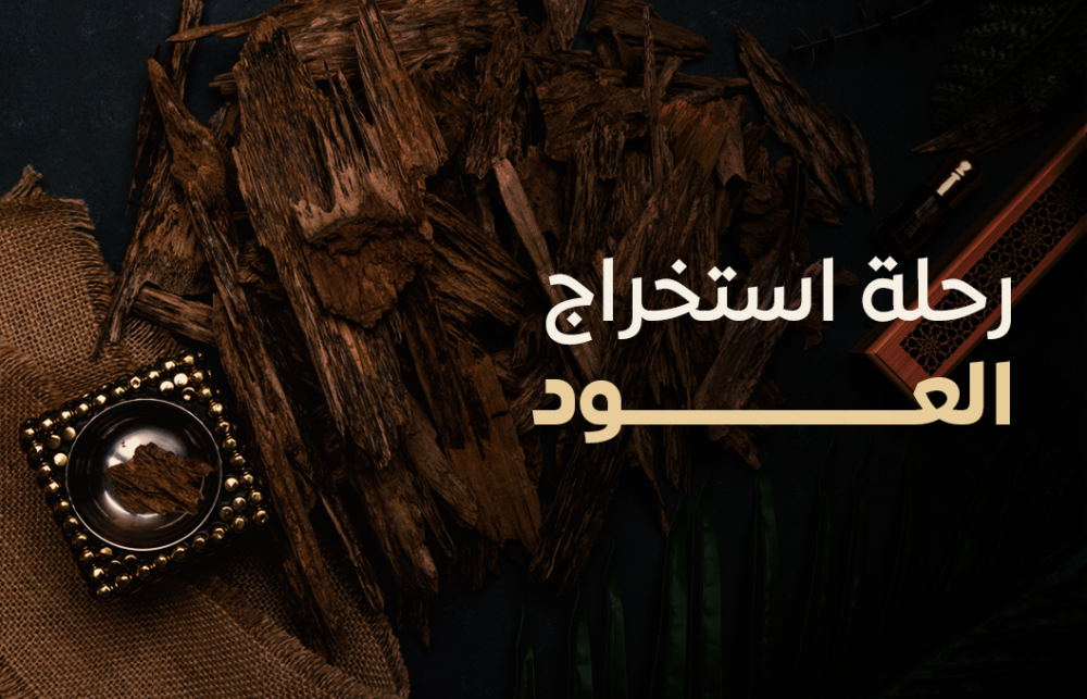 رحلة استخراج العود