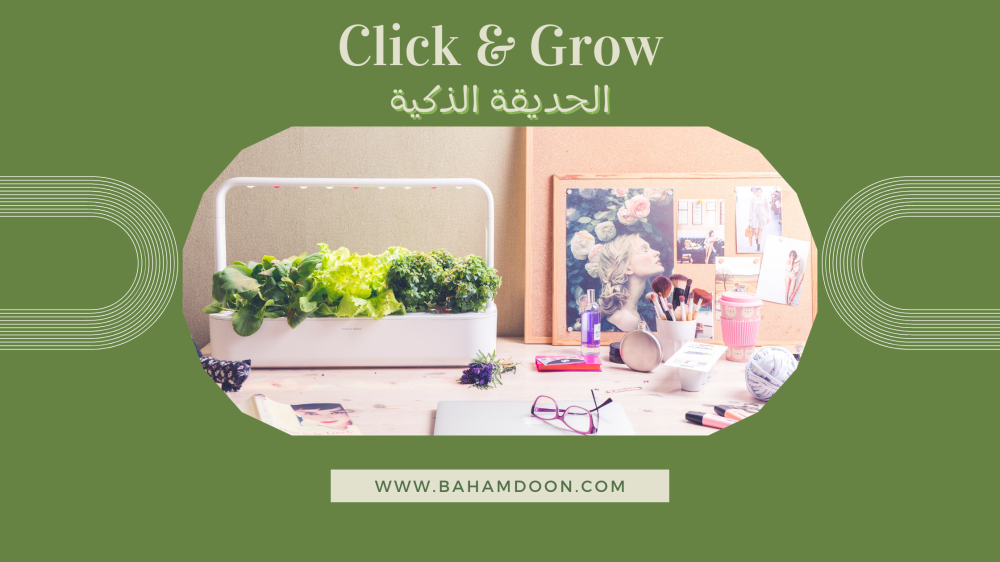 هل يمكنك تخيل حديقة صغيرة مزدهرة في منزلك ؟
