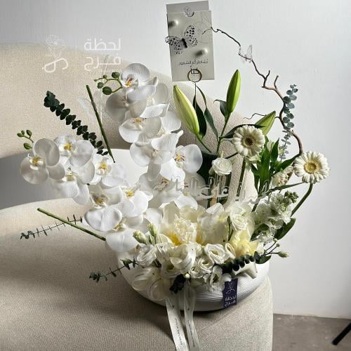 فازة منى