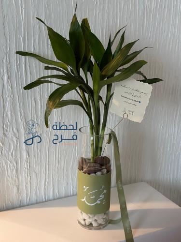 ڤازة مني بامبو - Mini bamboo vase